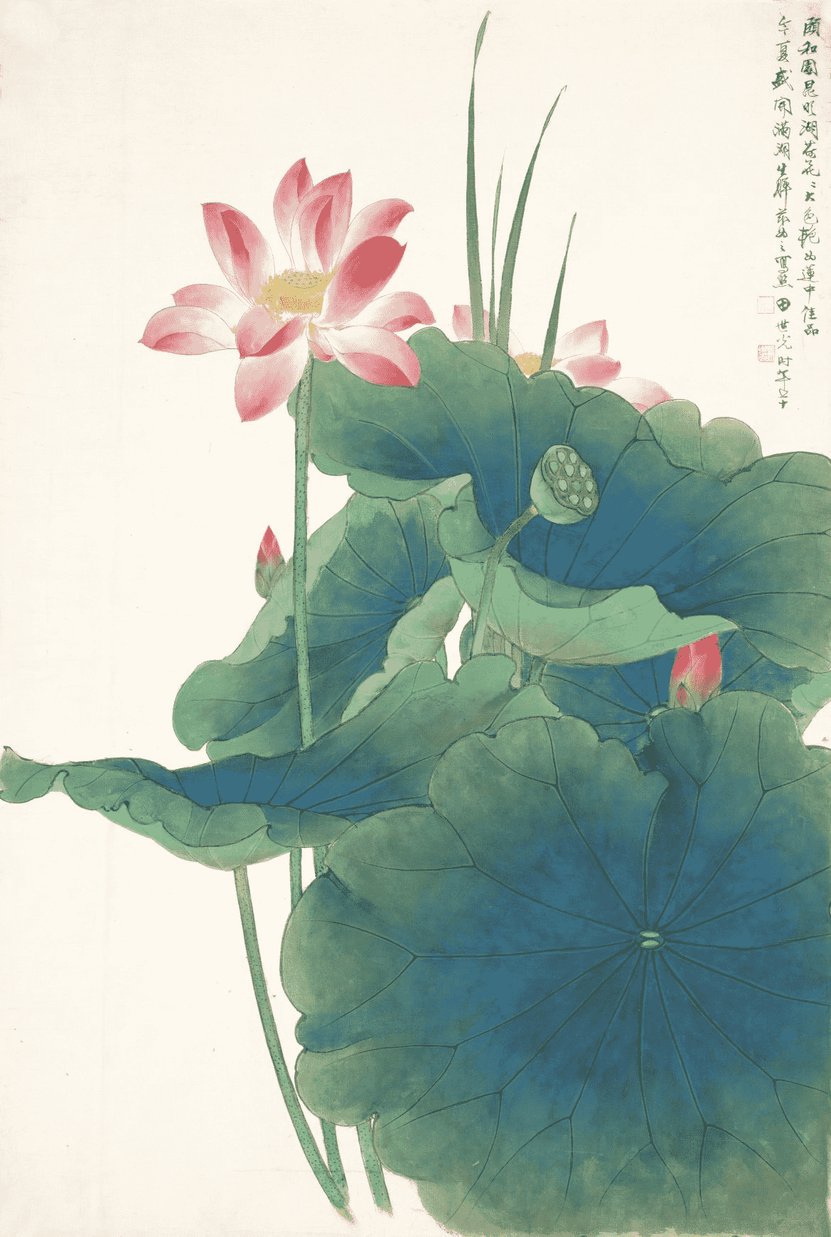 田世光( 1916—1999 )昆明湖荷花写照